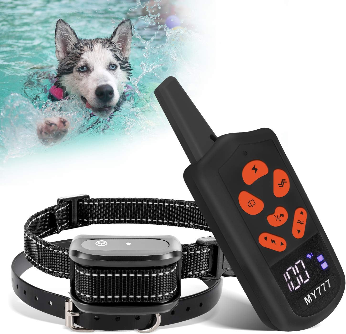 river run dog training