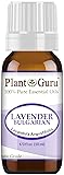 Lavender Essential Oil 10 ml (Bulgarian) 100% Pure