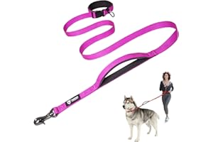 TSPRO Hands Free Dog Leash for Medium to Large Dogs, Adjustable Durable Leash with Comfortable Safety Padded Handle, Heavy Duty Metal Clasp for Walking, Running, Training (Purple)