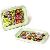 Crudit&eacute;s Portable Snack Tray, Rectangle Sage Green 2-Pack | Stretch Lid Container &amp; Charcuterie Board; Servable, Stackable, Travel; BPA Free, Non-Toxic, Dishwasher &amp; Freezer Safe