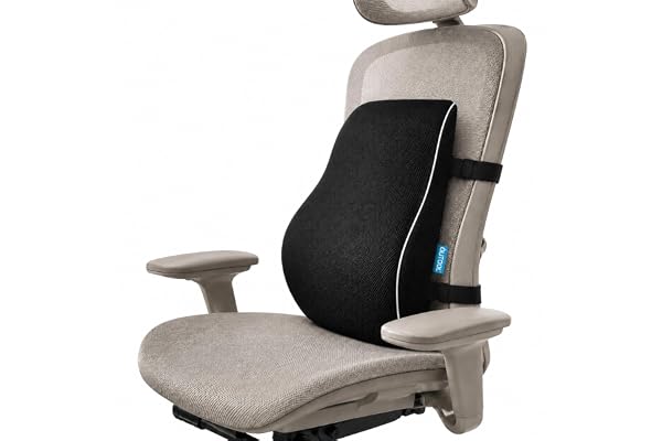 QUTOOL Lumbar Support Pillow for Office Chair, High-Density Memory Foam Back Cushion with Dual Adjustable Straps, Breathable