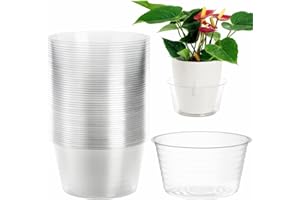 Tebery 50 Pack Clear Plastic Plant Saucer Drip Tray for Pots, 6 Inch Deep Flower Pot Saucers Water Catcher Tray Watering Tray