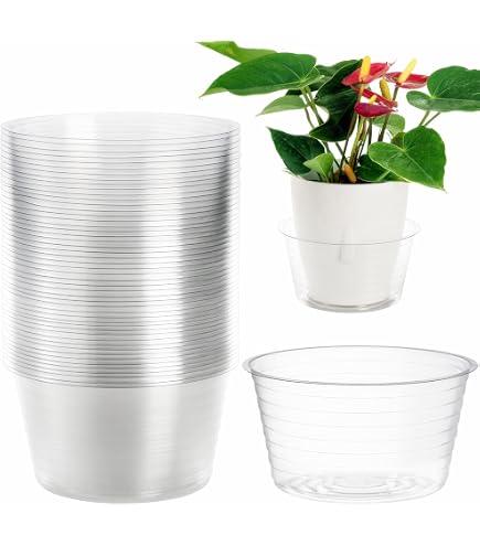Gardener's Blue Ribbon 50er-Set Pflanzuntersetzer 4 Zoll - Schutz Für Böden, Teppiche & Möbel, Aus Vinyl