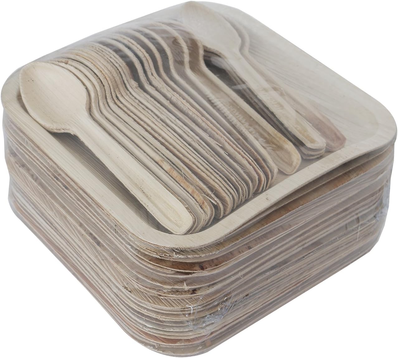 Areca Leaf Plate - Disposable Party Plate - Disposable Spoon - 100% Eco Friendly Plate - Combo Pack of 25 Plates and Spoons (8 inch Square Areca Leaf Plate / 14 cms Areca Leaf Spoon)