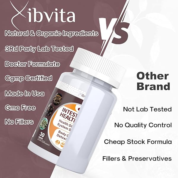 VIBVITA GUT HEALTH CLEANSE DETOX CAPSULES – INTESTINAL CLEANER WITH WORMWOOD, BLACK WALNUT, GARLIC BULB, CLOVE SUPPORT COLON CLEANSER & DIGESTION SYSTEM FOR WOMEN & MEN, 30 CAPS