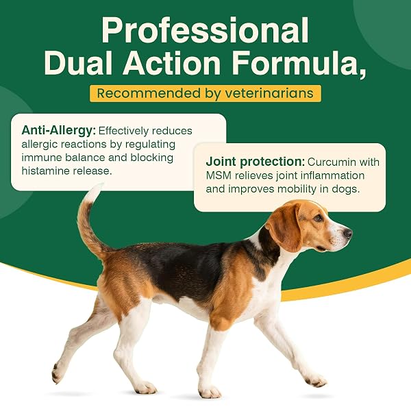 DOG ALLERGY CHEWS 400PCS WITH TURMERIC, DIGESTIVE ENZYMES SUPPORTS SEASONAL ALLERGY RELIEF, ITCHY SKIN, JOINT HEALTH ANTI-ITCH SUPPLEMENT FOR ALLERGIC DOGS AIDS POST-SURGERY RECOVERY SENIOR MOBILITY