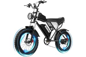Ridstar Electric Bike for Adults, 1000/2000W, 25/30/37MPH,48V-52V, 20AH,40AH Battery, Max 50-180 Miles Electric Motorcycle, 20" Fat Tire Dirt Bike, Shamano 7-Speed E-Bike