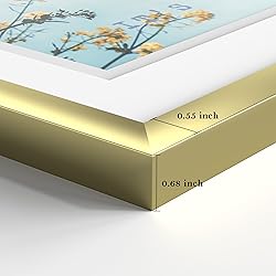 eletecpro 16x24 Aluminum Record Frame with Acrylic