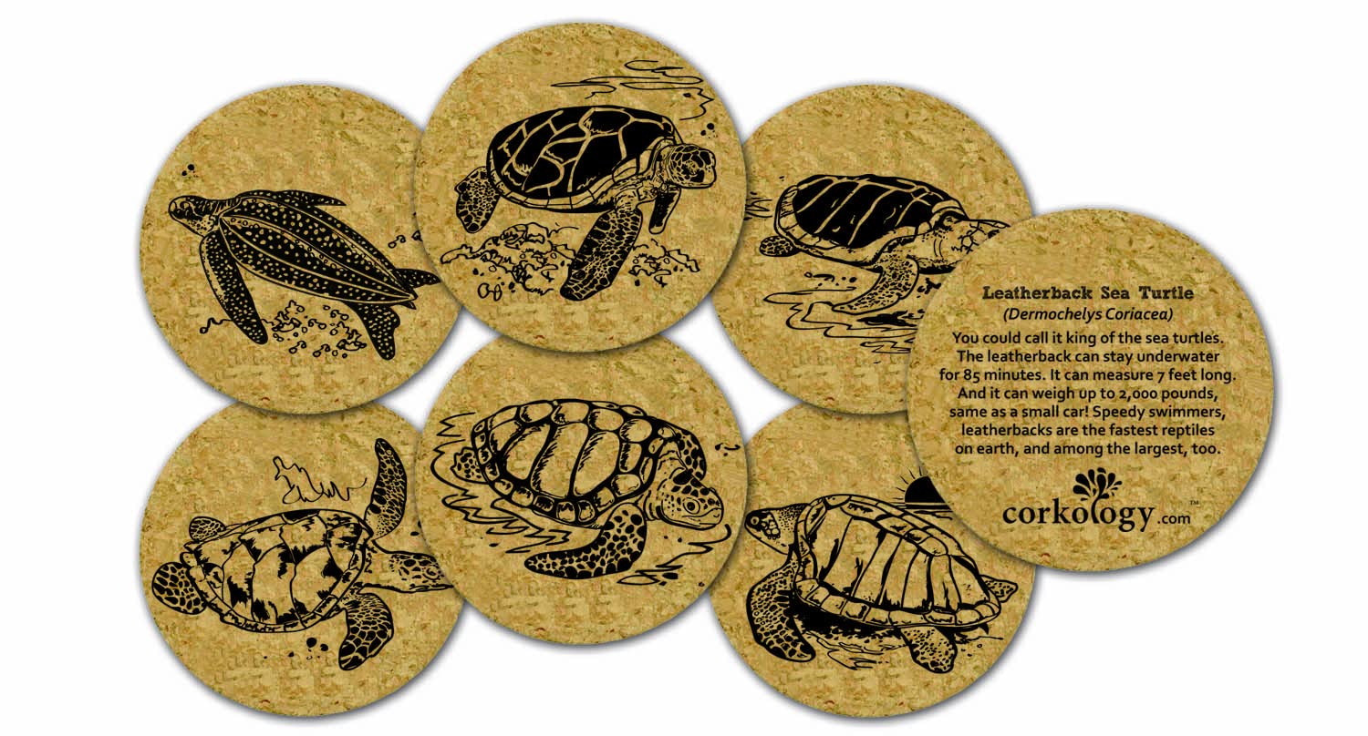 Corkology Sea Turtles Coaster Set, Cork