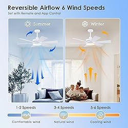42 inch Ceiling Fans with Lights, Ceiling Fan with