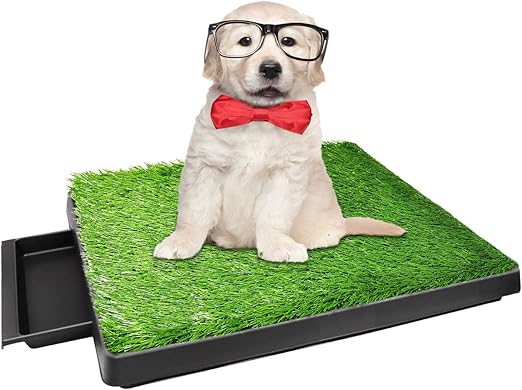 amazon dog grass pad