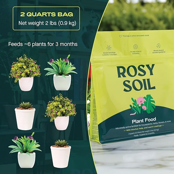 ROSY SOIL PLANT FOOD – MICROBIALLY ACTIVE FERTILIZER FOR HOUSEPLANTS, HERBS, FLOWERS – ENRICHED WITH BIOCHAR, KELP, AND WORM CASTINGS – ORGANIC FOOD FOR HEALTHY GROWTH – 2 QUARTS