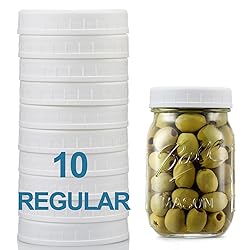 AOZITA 10 Pack REGULAR Mouth Mason Jar Lids for