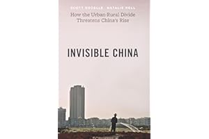 Invisible China: How the Urban-Rural Divide Threatens China's Rise