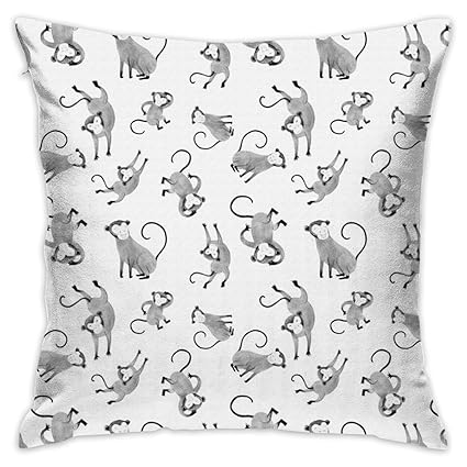 Amazon Com Zgsdymmb Monkey Pillow Covers Throw Pillow Case Daily