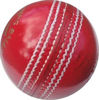 Amazon Com As Gold Leather Cricket Ball Red Sports Outdoors