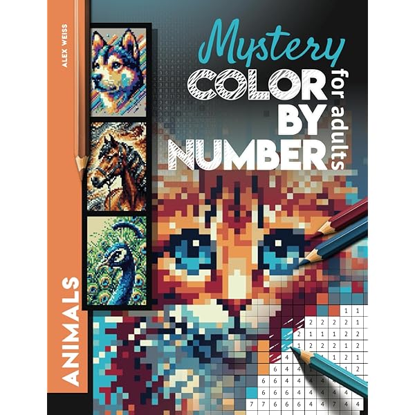 Amazon.com: Mystery Color by Number for Adults Fantasy: Color
