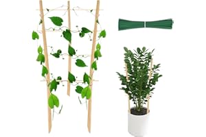 MIUWAUER Bamboo Trellis for Climbing Plants 16 Inch 4 Pack Fan-Shaped Natural Small Bamboo Lattice Mini Wooden Plant Support Trellace Climber for Potted Houseplants Rose Pothos Monstera Indoor Outdoor Garden