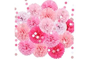 KAXIXI Pink Party Decorations, Tissue Paper Pom Poms Circle Garland for Pink Theme Birthday Decorations, Bridal Shower Baby Shower Rustic Wedding Engagement Party, 16PCS