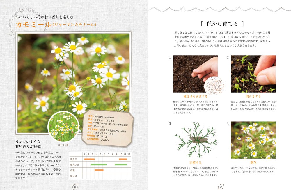 おうちで育てる 手作りハーブコスメ ハーブと暮らすナチュラルライフ 高浜 真理子 本 通販 Amazon