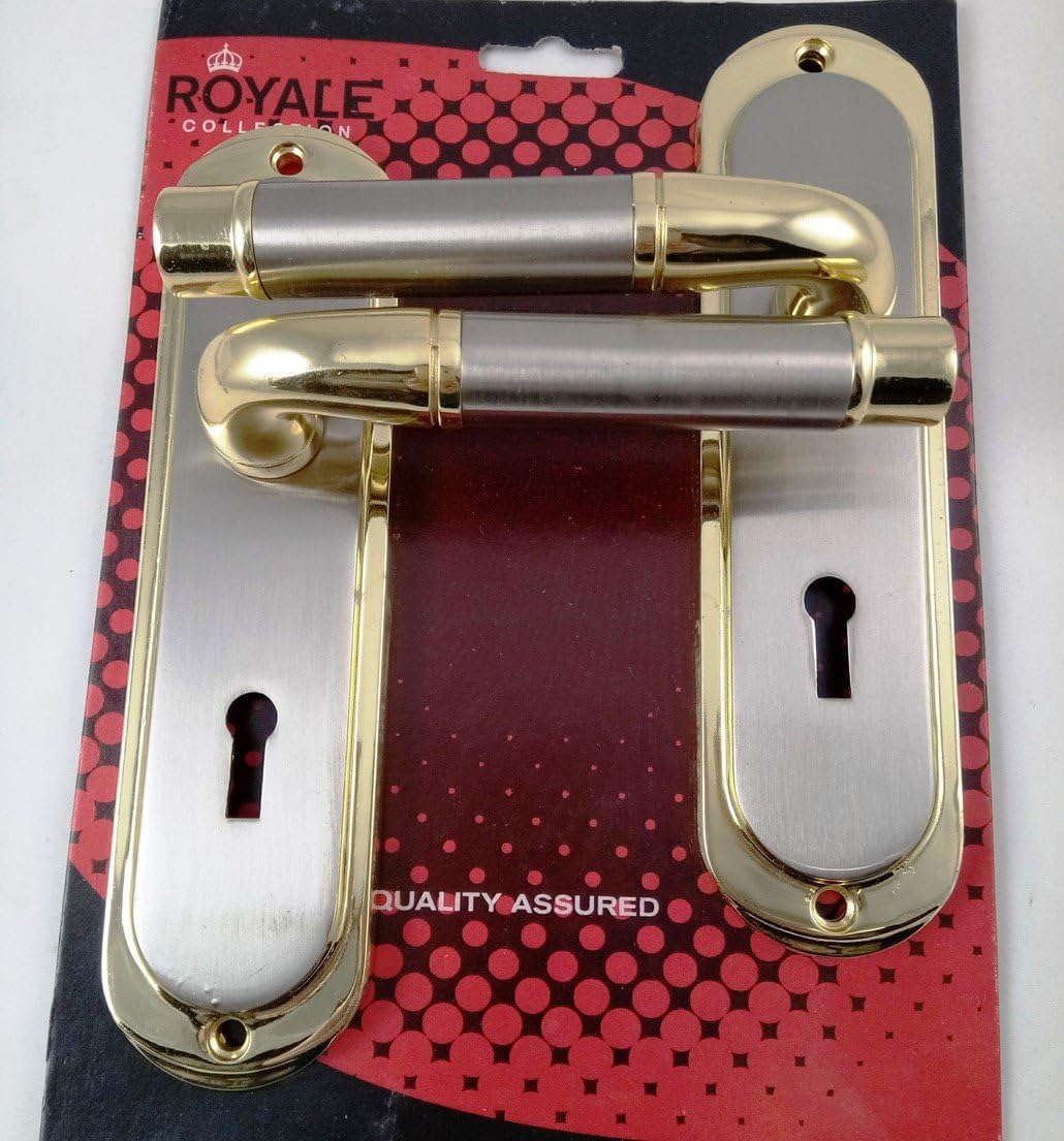 EUROART Lever on Back Plate Lock Paris Classic Door Handle in Dual Finish Gold and Satin Finish