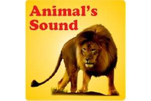Sound of animal