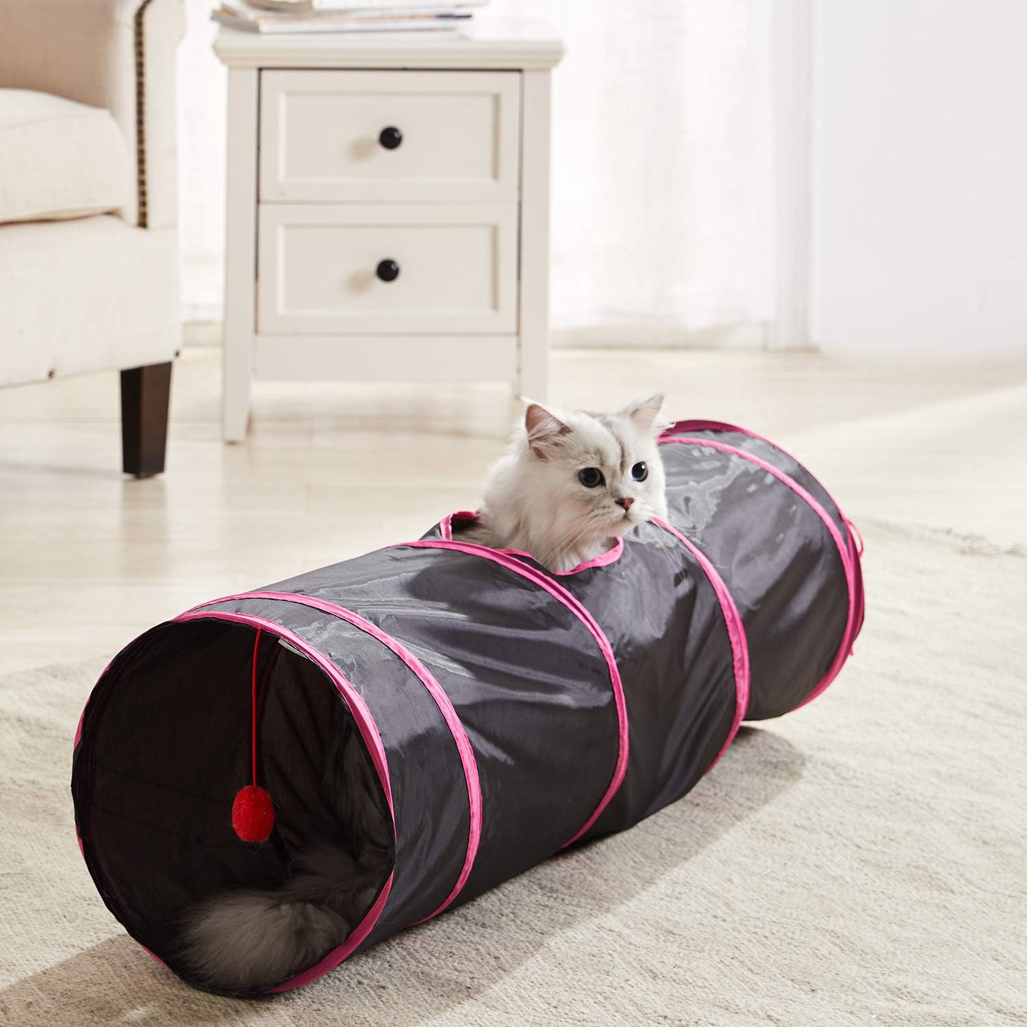 cat tunnel pets at home