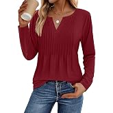 Zeagoo Womens Long Sleeve Tops 2026 V Neck Pleated Shirts Dressy Casual Tunic Blouses Loose Fit Fall Fashion Clothes