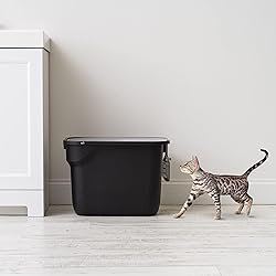 IRIS USA Square Top Entry Cat Litter Box with