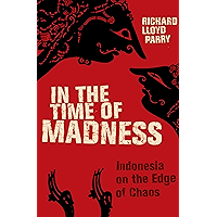In the Time of Madness: Indonesia on the Edge of Chaos book cover