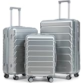 Hardshell Luggage, Lightweight Suitcase with Spinner Wheels, Silver