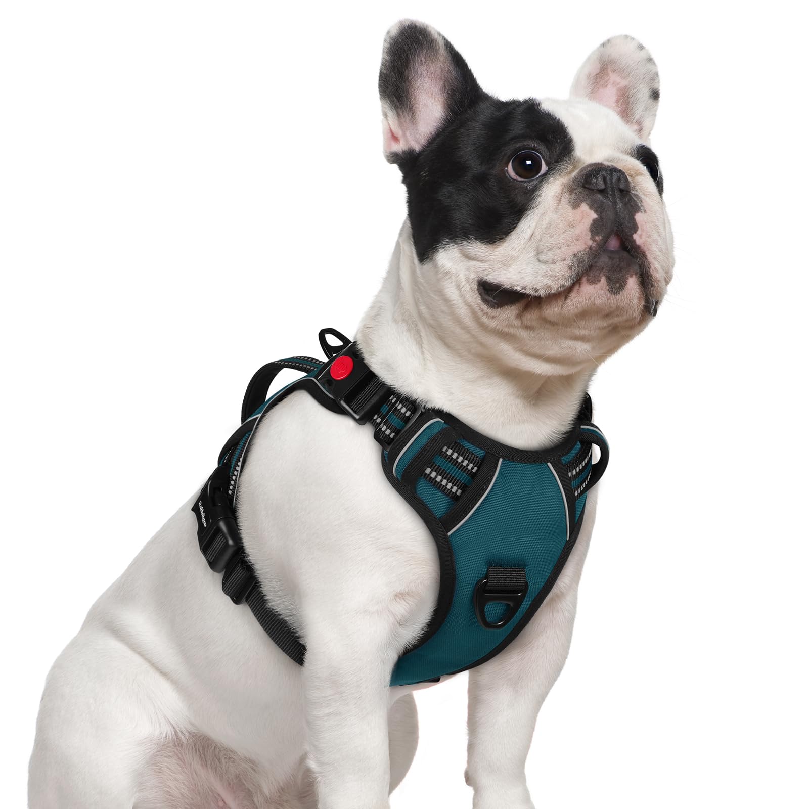 Photo 1 of rabbitgoo Dog Harness Small Sized Dog, No Pull Pet Harness with Soft Padded Handle, Adjustable Reflective Vest with 3 Buckles, Easy Walking Harness with 2 Leash Clips, Green, S