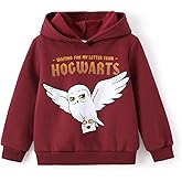 Harry Potter Hoodie for Kids Girls Boys Gryffindor Slytherin Ravenclaw Hufflepuff Pullover Hooded Sweatshirt Hogwarts Clothes