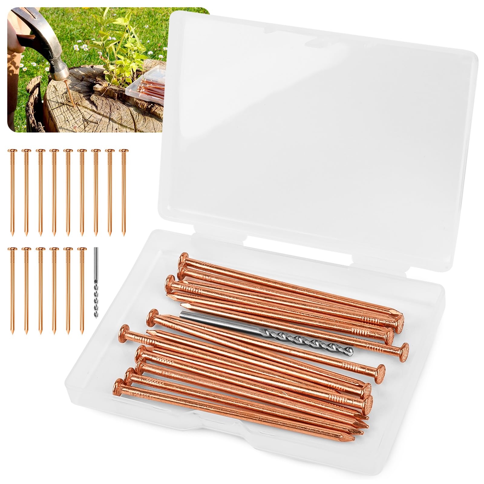 UCandy 15 pcs Copper Nails for Killing Trees Stump