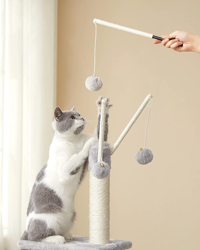 Arbre à Chat, Tour de Jeux, Chaton