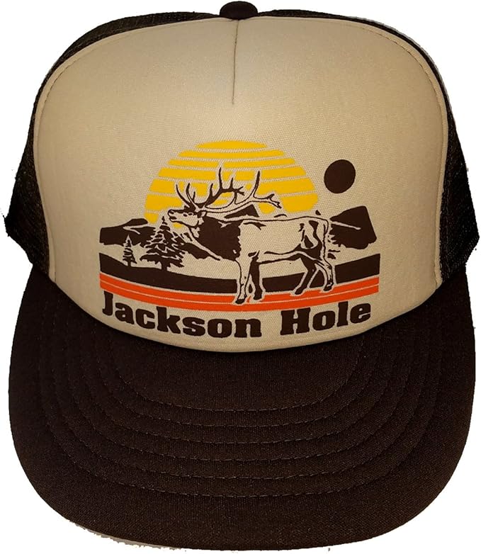 Jackson Hole Snapback Mesh Trucker Hat Cap Wyoming Brown