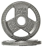 Fitvids Cast Iron Plate Weight Plate for Strength