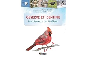 Observe et identifie les oiseaux du Québec