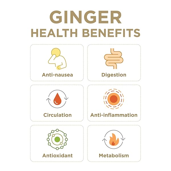 GINGER SOOTHER EXTRA STRENGTH GINGERADE – MORE HEAT, 30% LESS SWEET, REAL GINGER JUICE, SIMPLE INGREDIENTS, ENJOY HOT OR COLD – 32 FL OZ BOTTLE (PACK OF 1)
