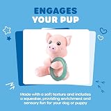 Webbox Pinky the Pig Plush Squeaky Dog Toy with Teething Ring view 4