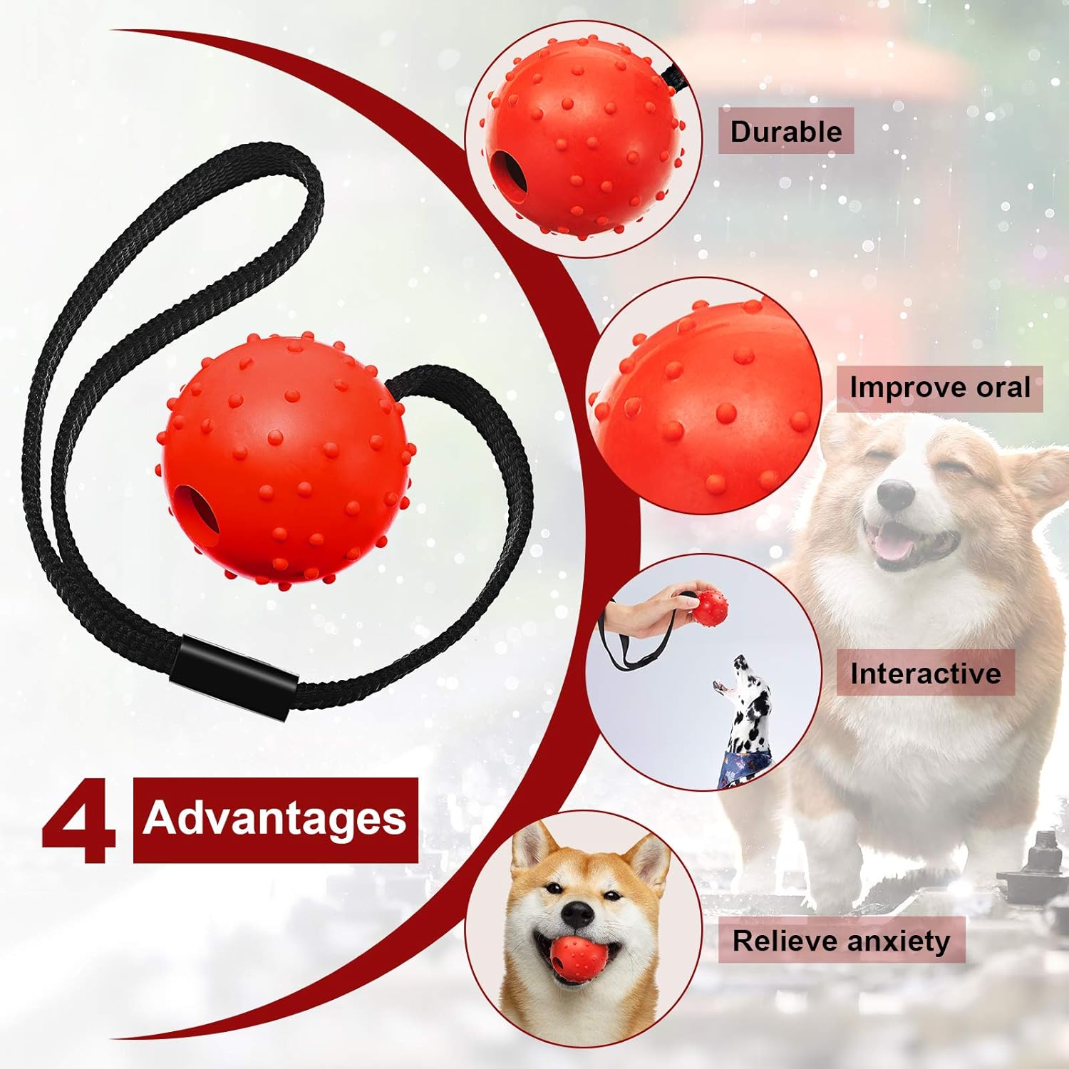 SKYLETY 4 Pieces Dog Ball on a Rope Training Ball Dog Toy Interactive Dog Ball on a String Reward and Exercise Toy for Small Medium Large Dog Fetching Catching - Image 4
