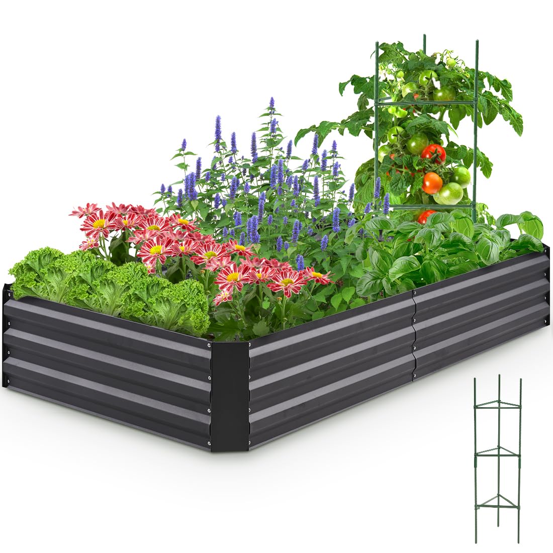 Quictent Galvanized Raised Garden Bed 6x3x1 Ft
