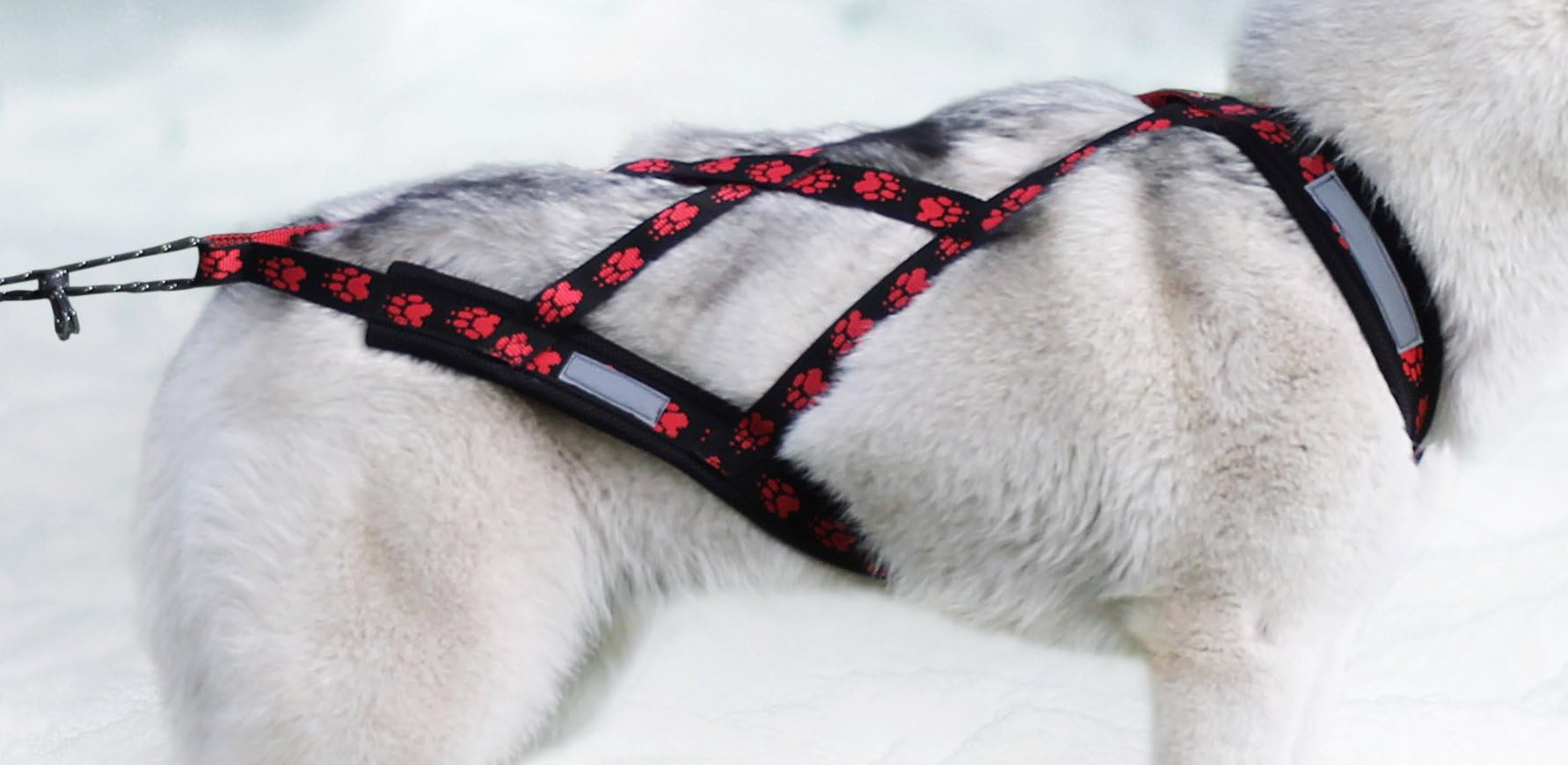 X-Back harness for bike, skijoring, dogscooting, sledge, paws red