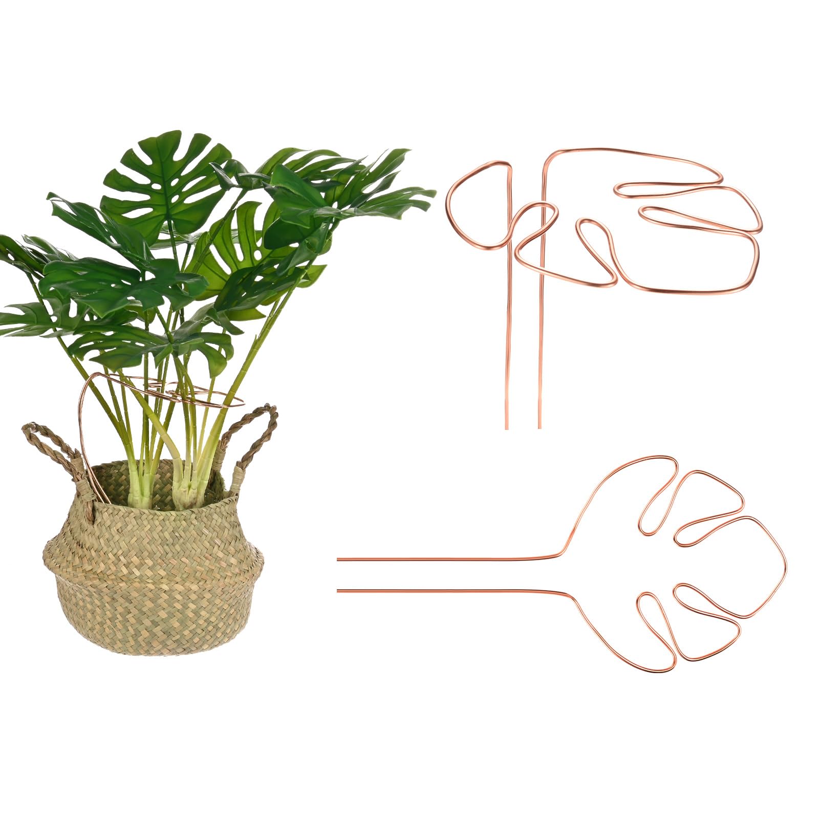 M METERXITY 2-Pack Monstera Plant Support, 11x5.9 Inch Reusable Sturdy Alloy Plant Support Stakes Unique Design for Potted Plants Flowers/Vegetables/Indoor Outdoor Climbing Plants [Copper]