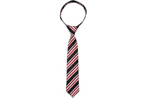 Spring Notion Boys' Pre-tied Woven Zipper Tie