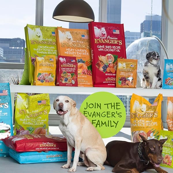 EVANGER’S GRAIN FREE CHICKEN WITH SWEET POTATO & PUMPKIN DRY FOOD FOR DOGS – 16.5 LB BAG – DEBONED CHICKEN, OMEGAS 3 & 6, PROBIOTICS – ALL LIFE STAGES FORMULA