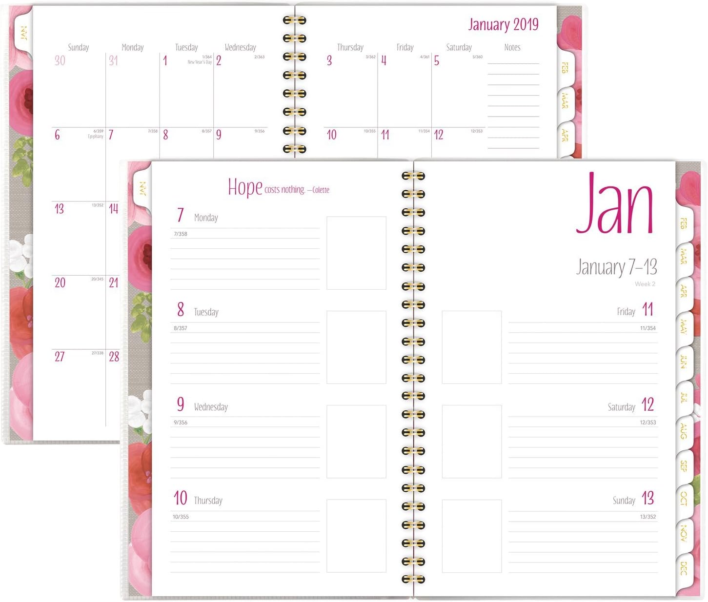 Each one tree one essay pdf download picture