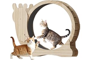 WARCAT Cat Exercise Wheel, Large Cat Exercise Running Wheel with Locking Mechanism/Silent Wheel/Carpeted Runway,Cat Treadmill for Indoor Cats (Nature, 42 inch)