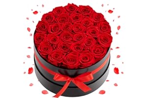 VEVOR Forever Flowers, 27 Preserved Roses in a Box, Eternal Flowers Immortal Bouquet Birthday Present for Delivery Prime Wome