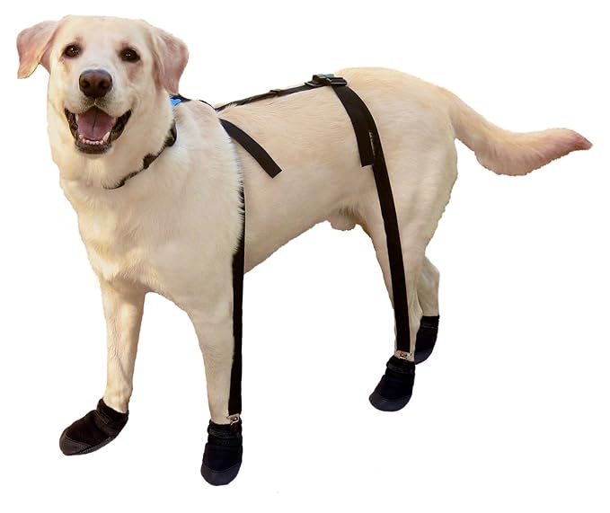 Canine Footwear Suspenders Snuggy Boots for Dog, Large, Black Amazon